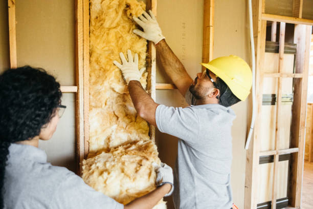 Best Insulation Air Sealing  in Gman, IL